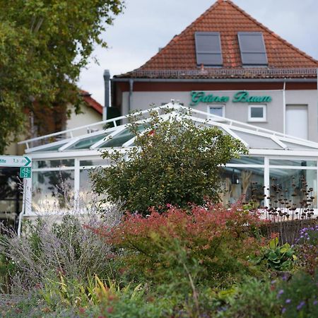 Zum Gruenen Baum Hotel Frankfurt Airport Kelsterbach Luaran gambar