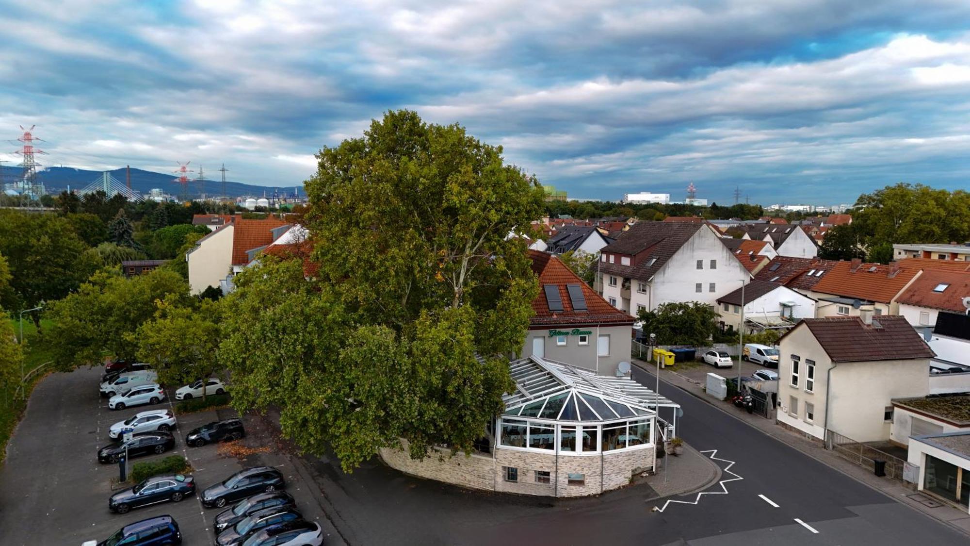 Zum Gruenen Baum Hotel Frankfurt Airport Kelsterbach Luaran gambar