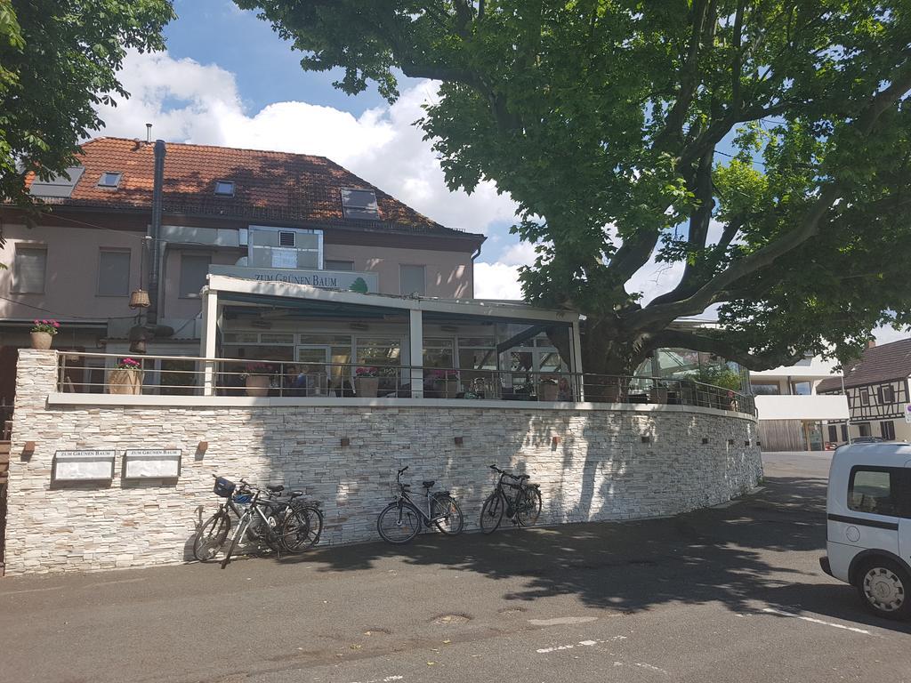 Zum Gruenen Baum Hotel Frankfurt Airport Kelsterbach Luaran gambar